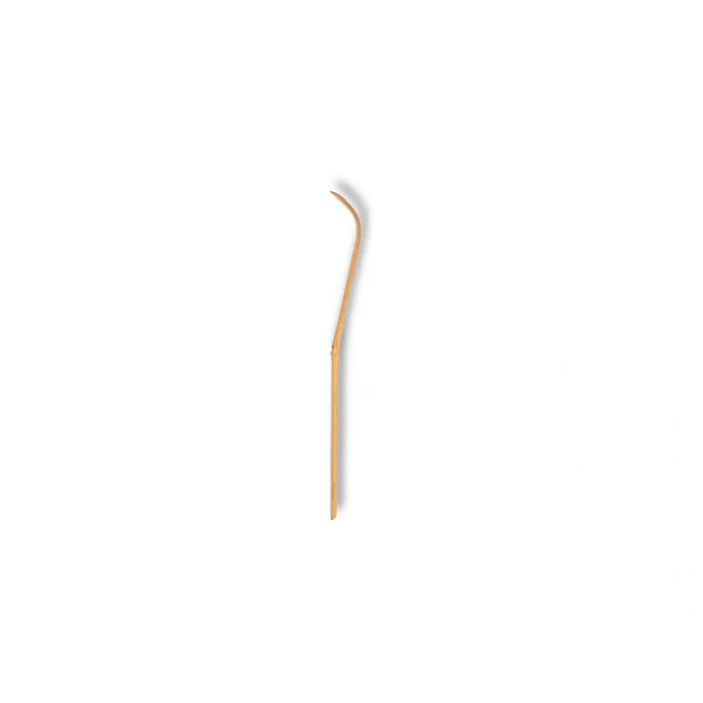Chashaku Bamboo Spoon